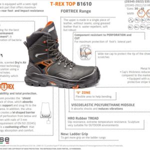 BASE T-REX/T-WALL TOP TURVAKENGÄT S3S HRO CI HI LG FO SR - 12