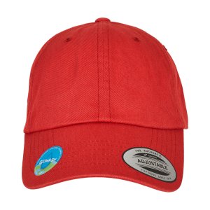 Flexfit Ecowash Dad Cap - 37